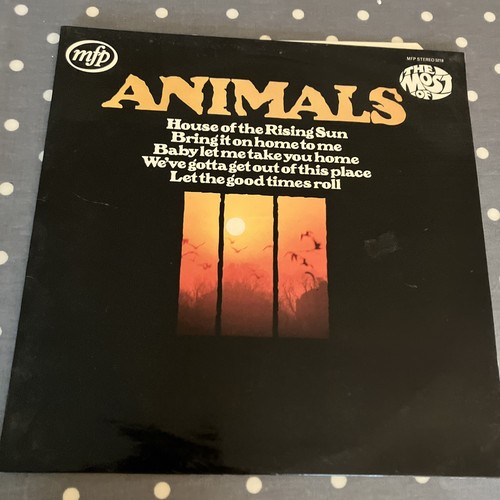 The animals most - of,