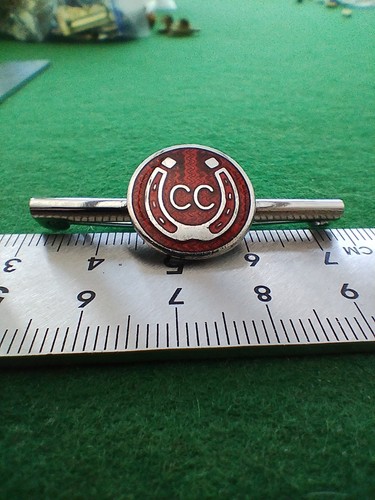 Vintage caravan club badge - vintage,