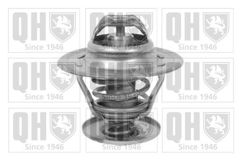 Thermostat kit quinton - thermostat,