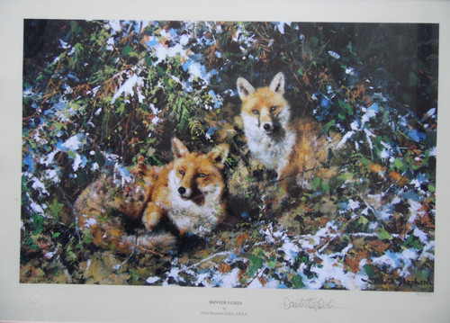 Winter foxes david shepherd - winter, foxes.