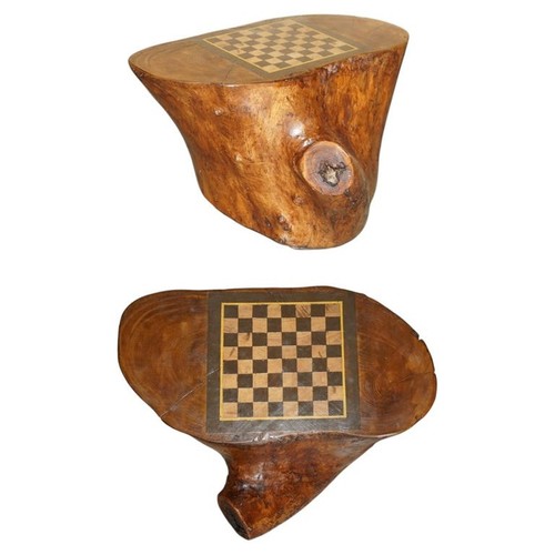 Vintage small tree stump - tree,