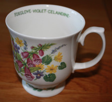 Roy Kirkham Mug Herbs n Spices Fine Bone China  Foxglove Violet Celandine  1997