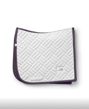 Equestrian Stockholm dressage