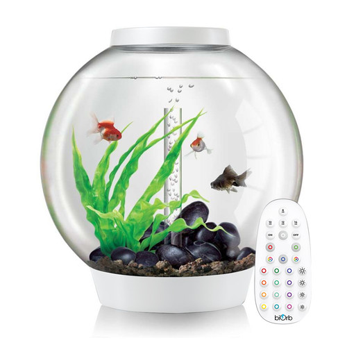 Biorb classic 60l - 60l, white