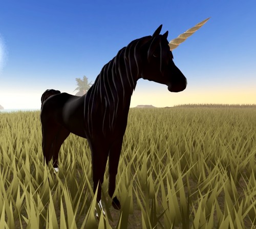 Wild horse islands - horse,