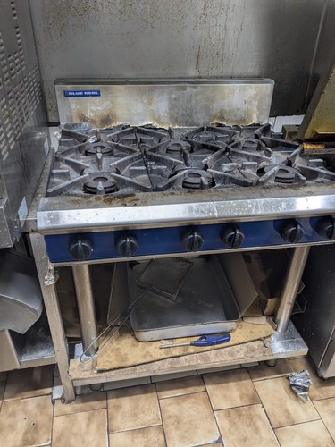 Blue seal natural gas burner - seal, 6