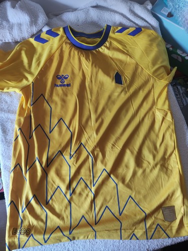 Everton shirt 2022 2023 3rd - shirt,