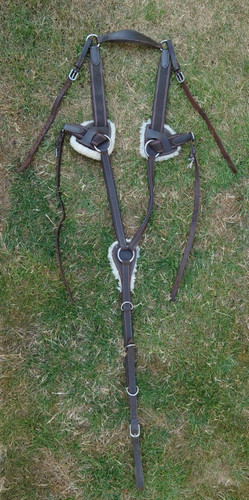 Shires brown cob - cob, 5