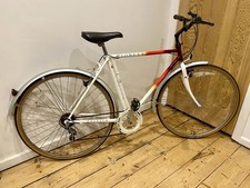 Vintage 1992 Raleigh Pioneer