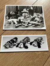 Pound Puppies - Original Press Photographs. Toy Doll Yappies.Dog Togs! Teddybear