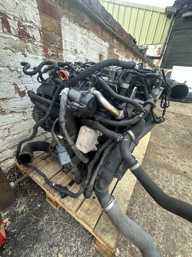 Cayp complete engine tdi - complete,