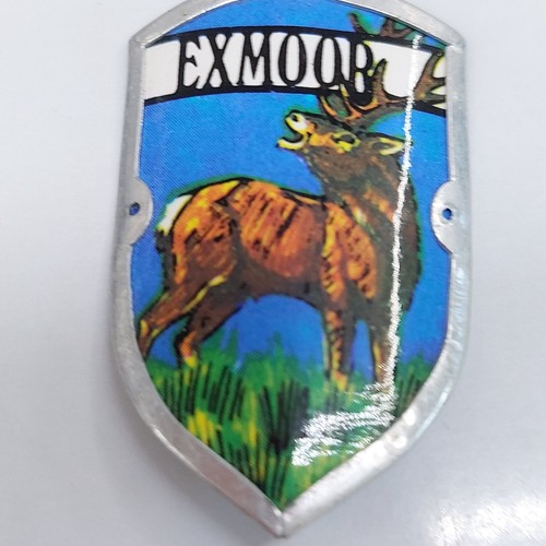 Souvenir metal medallion - souvenir,