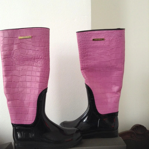 Bnwt dolce gabbana womens - dolce,