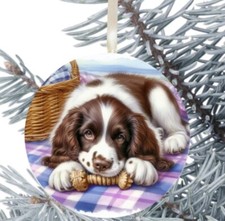 Springer Spaniel Inspired