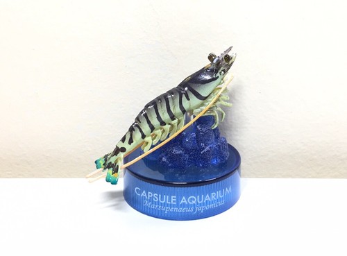 Kaiyodo japan capsule aquarium - kaiyodo,