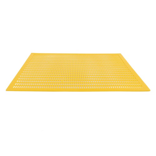 Bee queen protect - queen, excluder