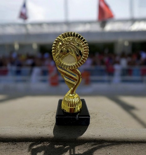 Gold equestrian inch trophy - gold, 6
