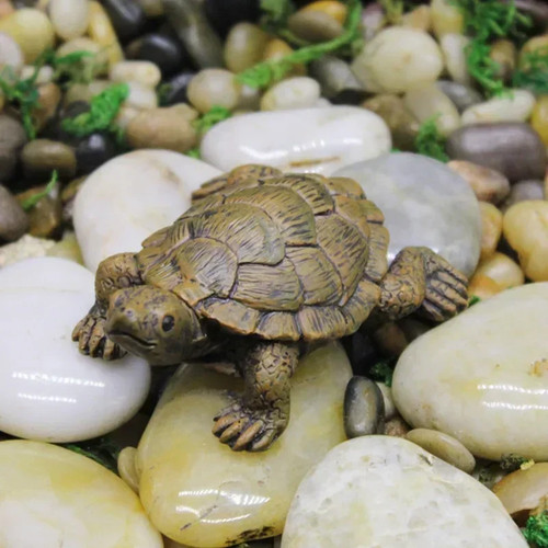 Turtle tortoise art outdoor - art,