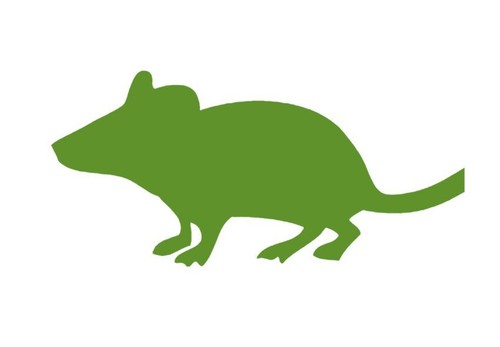 Swell reptiles frozen - reptiles, mice