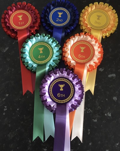1st 6th tier - 2, rosettes