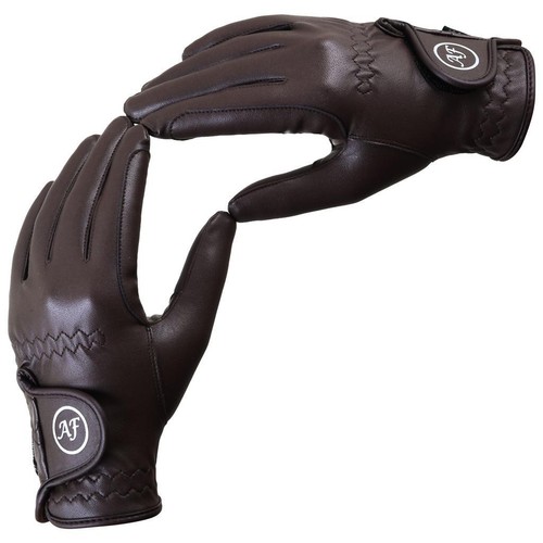 Equestrian horse riding - equestrian,