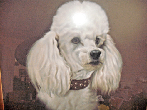 Original art framed dog - original, poodle