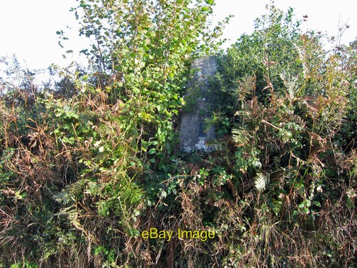 Photo 6x4 drascombe trig - 6x4, point