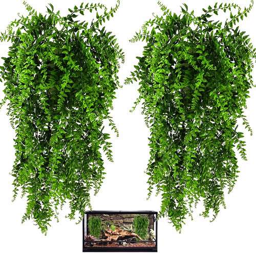 Pack reptile plants - 2,