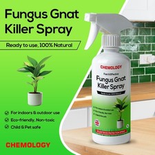 Natural plant bug pest - bug,