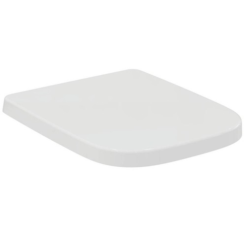 Toilet seat and - toilet,
