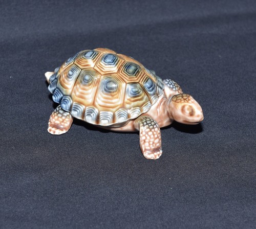 Wade large tortoise - wade, (daddy)