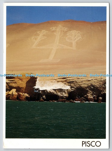 L354412 pisco peru - pisco, el