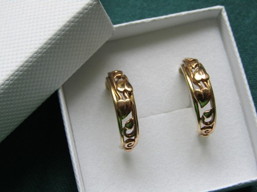 Earrings half hoop tree - half,