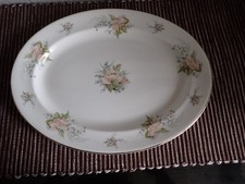 BEAUTIFUL SHELTONIAN  LARGE