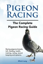 Pigeon racing the - pigeon, racing.