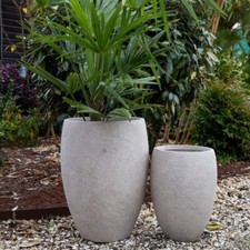 38cm Rustic Tall Planter/Plant