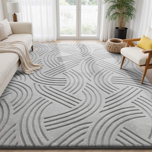 Large rugs living room - living, modern