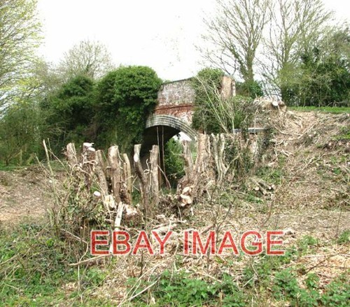 Photo tree clearance old - tree,