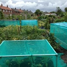 Garden  Netting Scaffolding