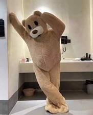 Teddy Bear Mascot Party