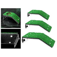 Turtle Basking , Turtle Island