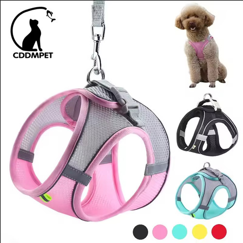 Pull dog pet - pull,