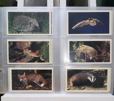 VINTAGE PLAYER'S COLLECTORS