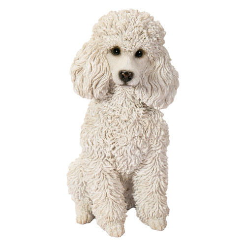 Vivid arts white poodle - -,