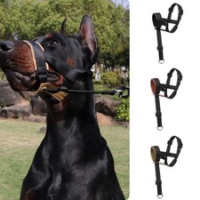 Dog Halter Training Head