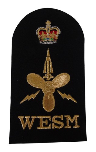 Petty officer wesm - petty,