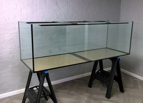 Aquarium 650l fish - fish, tank