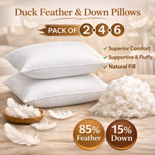 Duck Feather & Down Pillows