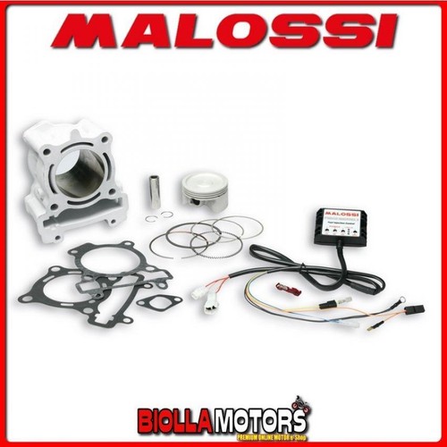 3114851 thermal group malossi - 3114851,