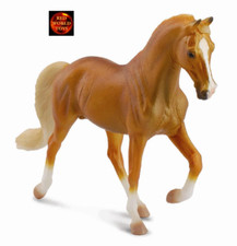 Tennessee Walking Horse